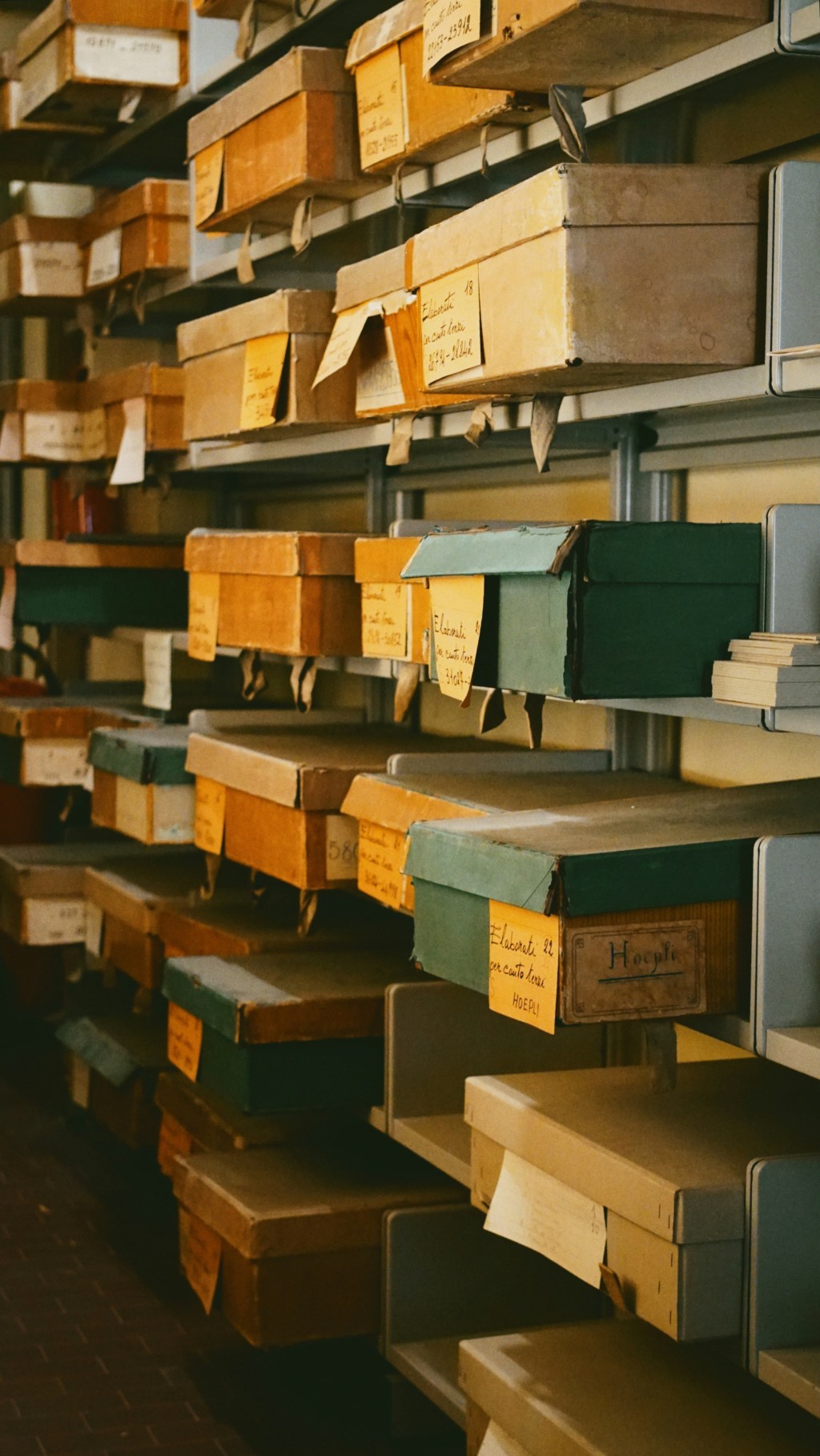 Internship and Volunteer&nbsp;Experience